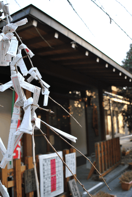 Y稲荷神社参集殿イメージ